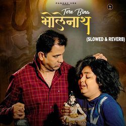 Tere Bina Bholenath (Slowed &amp; Reverb)