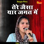 Tere jaisa yar jagat me (Hindi)