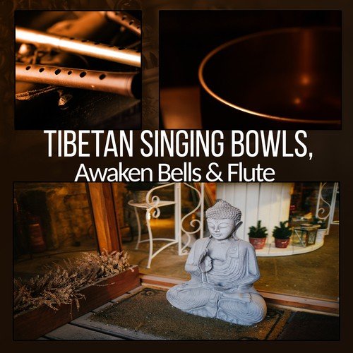 Chakra Meditation Balancing cover art