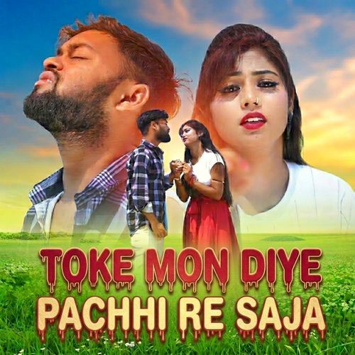 Toke Mon Diye Pachhi Re Saja