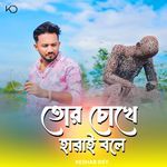 Tor Chokhe Harai Bole