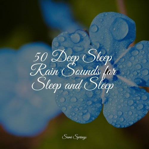 50 Deep Sleep Rain Sounds for Sleep and Sleep_poster_image