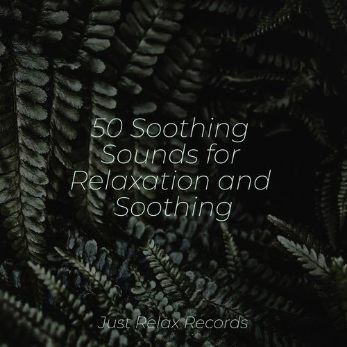 50 Soothing Sounds for Relaxation and Soothing