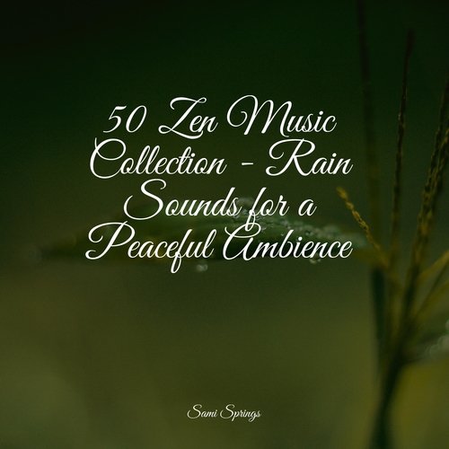 50 Zen Music Collection - Rain Sounds for a Peaceful Ambience