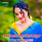 Barfi Khaja Mhara Dil Ka Tuk