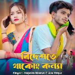 Bideshote Thakong Konna