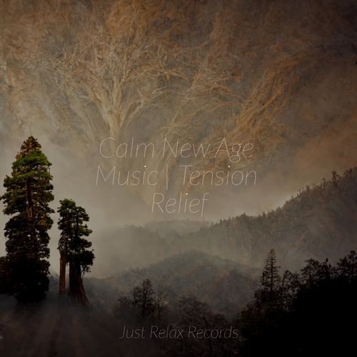 Calm New Age Music | Tension Relief