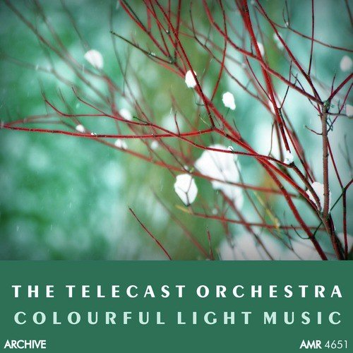 The Telecast Orchestra