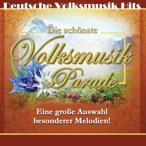 Deutsche Volksmusik Hits: Die schönste Volksmusik Parade (Eine große Auswahl besonderer Melodien)