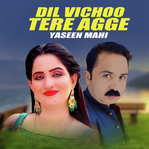 Dil Vichoo Tere Agge