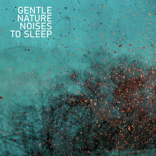 Gentle Nature Noises To Sleep