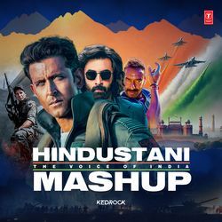 Hindustani - The Voice Of India Mashup(Remix By Kedrock)