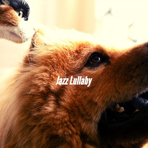 Background for Cool Dog cover art