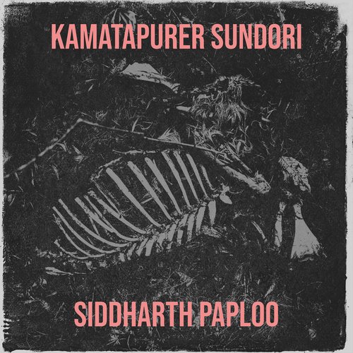 Kamatapurer Sundori