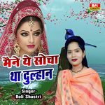 Maine Ye Socha Tha Dulhan