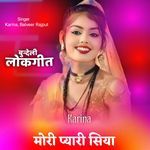 Mori Pyari Siya 2 artwork