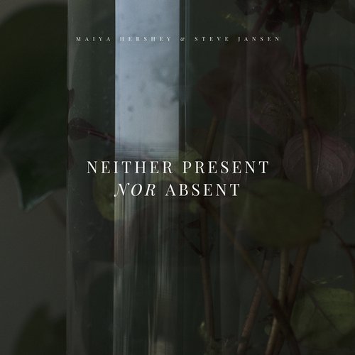 Neither Present Nor Absent_poster_image