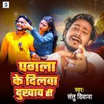 Pagla Ke Dilva Dukhav Hi