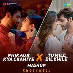 Phir Aur Kya Chahiye x Tu Mile Dil Khile - Mashup