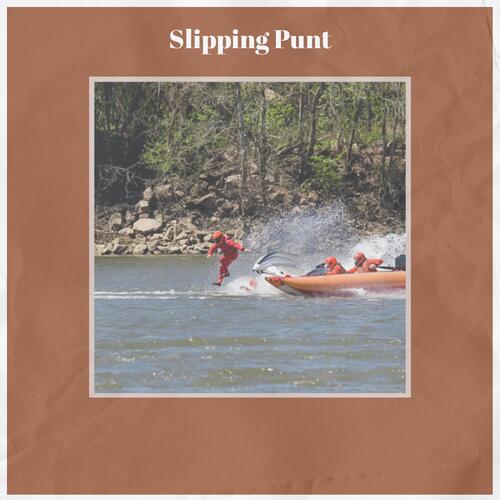Coffer Pine cover art