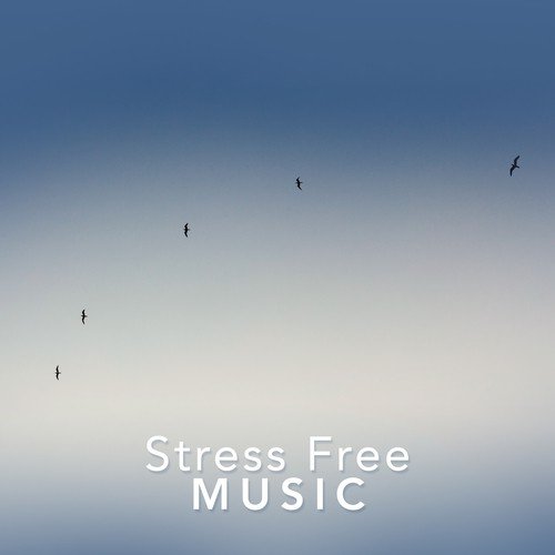 Stress Free Music_poster_image