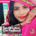 Ton Dil Lutyo Chh Padbaali
