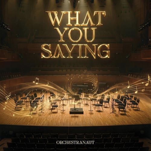 What You Saying (feat. no/vox) (Orchestra - Instrumental) cover art