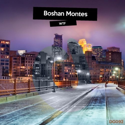 Wtf (Original Mix) cover art