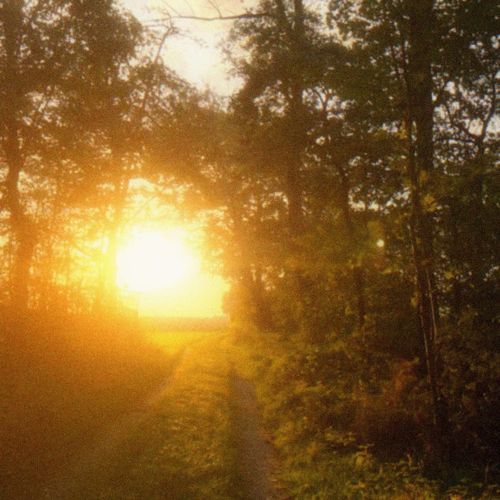 sunpause (slowed)