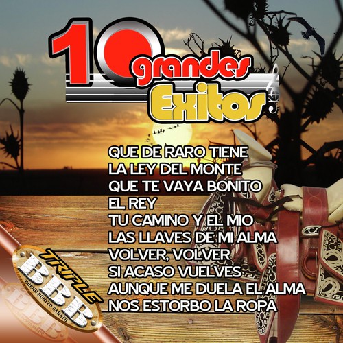 Nos Estorbo La Ropa - Song Download from 10 Grandes Exitos De Vicente  Fernandez @ JioSaavn