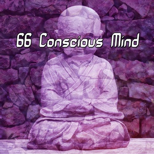 66 Conscious Mind