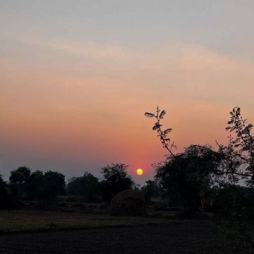 After Morning Your Lover