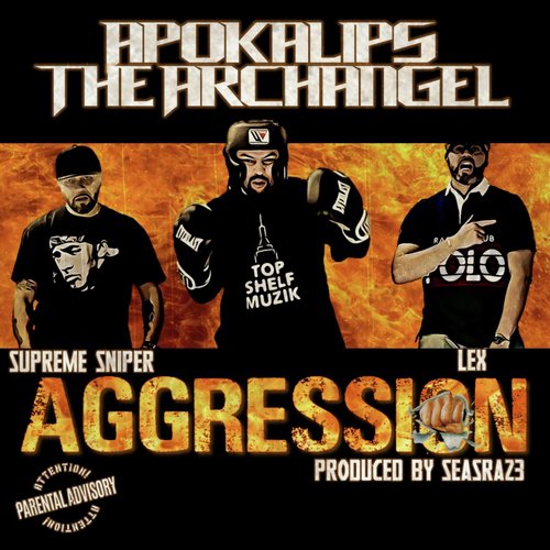 Aggression (feat. Supreme Sniper, Lex & DJ Glibstylez) cover art