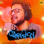 Anamika