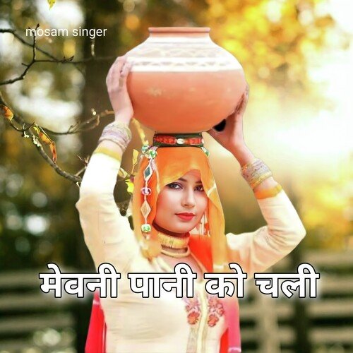 मेवनी पानी को चली