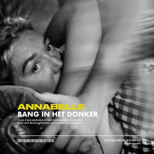 Bang in het donker