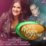 Bil Se Nagin Jo Nikli