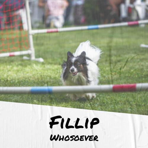 Fillip Whosoever