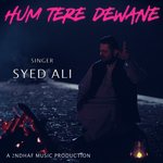 Hum Tere Dewane