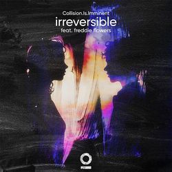 Irreversible (feat. Freddie Flowers)-CCM-Yy1ITQo