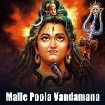 Malle Poola Vandamana