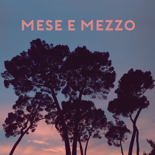 Mese e mezzo cover art
