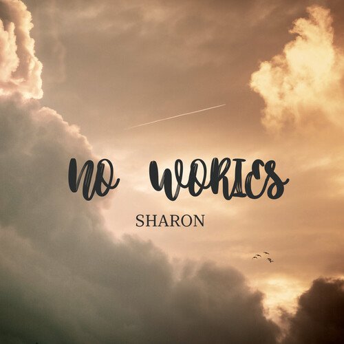 No Wories (Instrumental)-okv tunes