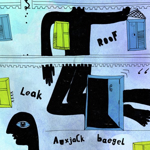Roof Leak cover art