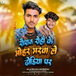 Roshan Rohee Ke Mohar Marava Le Dhodiya Par