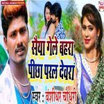 Saiya Gele Bahara Pichha Paral Devara