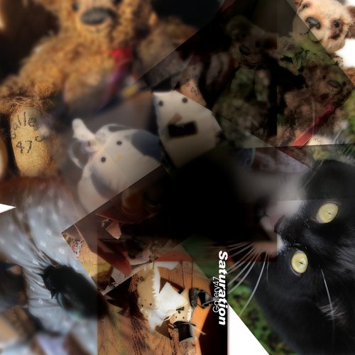 Pick of the Litter cover art