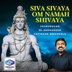 Siva Sivaya Om Namah Shivaya artwork