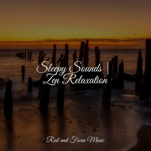 Sleepy Sounds | Zen Relaxation_poster_image