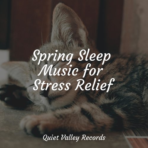 Spring Sleep Music for Stress Relief